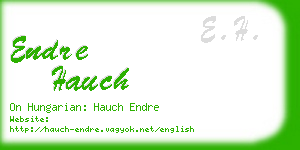 endre hauch business card